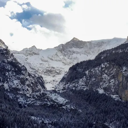 Im Tuftli-1 Lejlighed Grindelwald